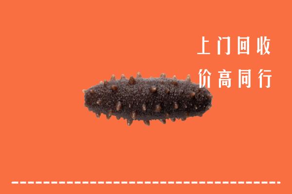 安阳高价回收海参