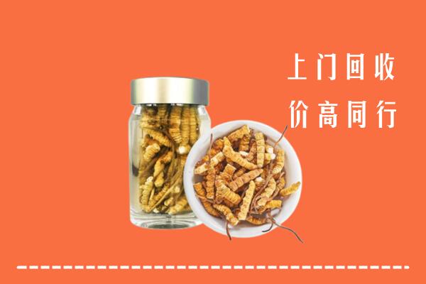 安阳回收冬虫夏草